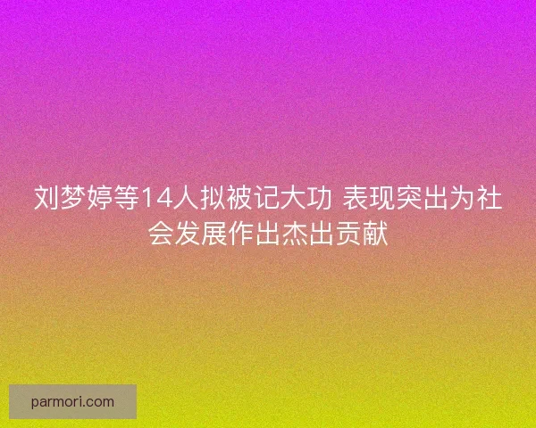 刘梦婷等14人拟被记大功 表现突出为社会发展作出杰出贡献